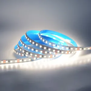 Led Strip 12v, Single Colour, 120 led/meter, ip20, 8mm wide, 2.5cm cut, Blue thermal tape, Economical, 8w/m, 5m roll Cool White 6500k